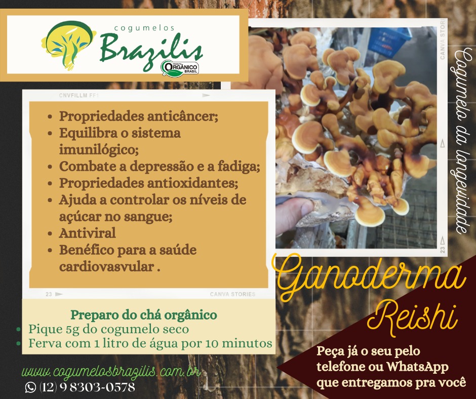 WhatsApp Image 2022-12-11 at 12.15.54 (3).jpeg