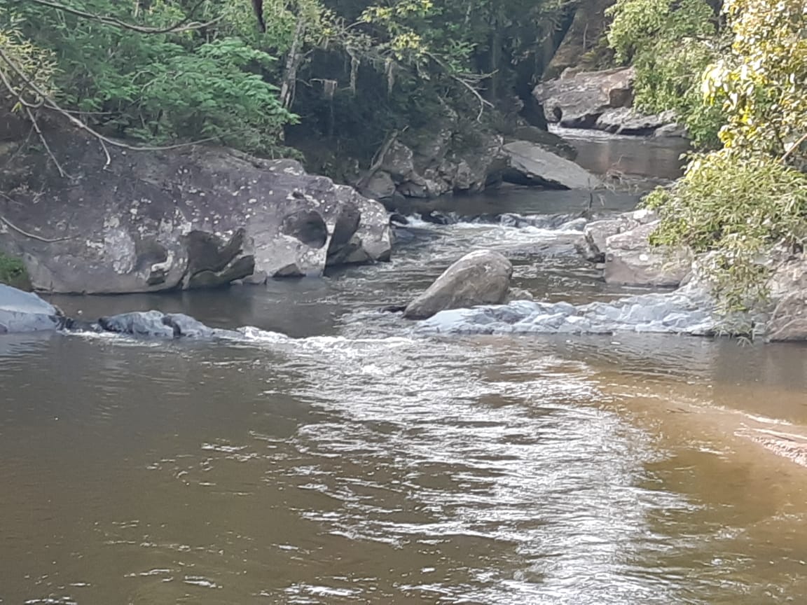 RIO 2 WhatsApp Image 2021-11-23 at 16.46.07 (1).jpeg