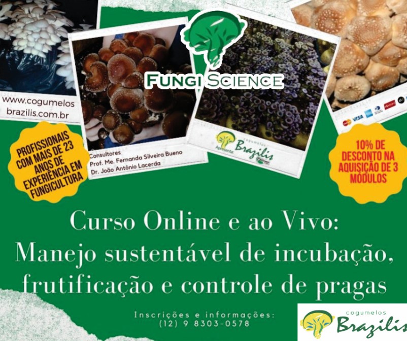 POST CURSO MODULO 1 WhatsApp Image 2023-01-02 at 19.49.57.jpeg