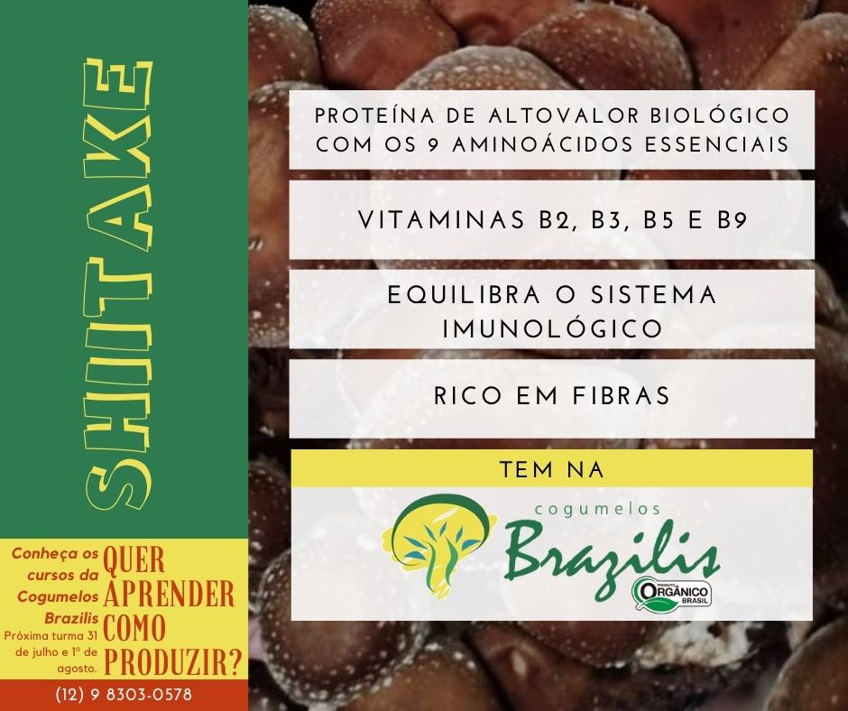 WhatsApp Image 2022-12-15 at 10.56.19 (4).jpeg